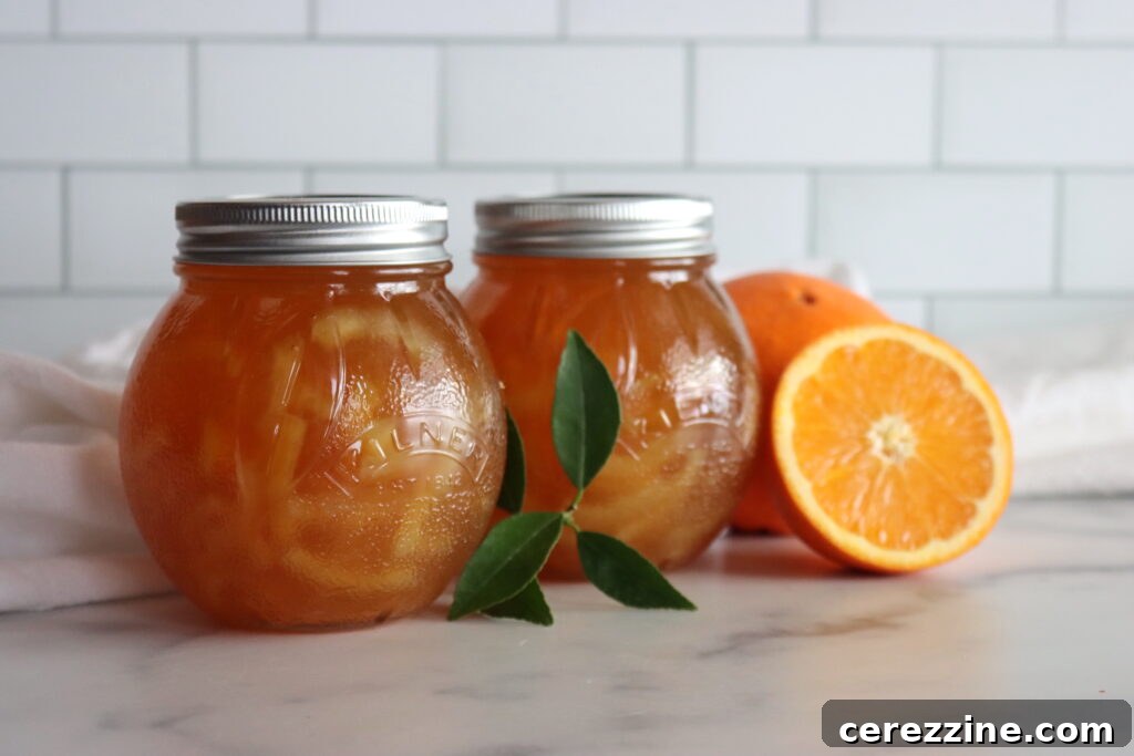 Freshly jarred orange marmalade