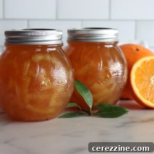 Traditional Orange Marmalade