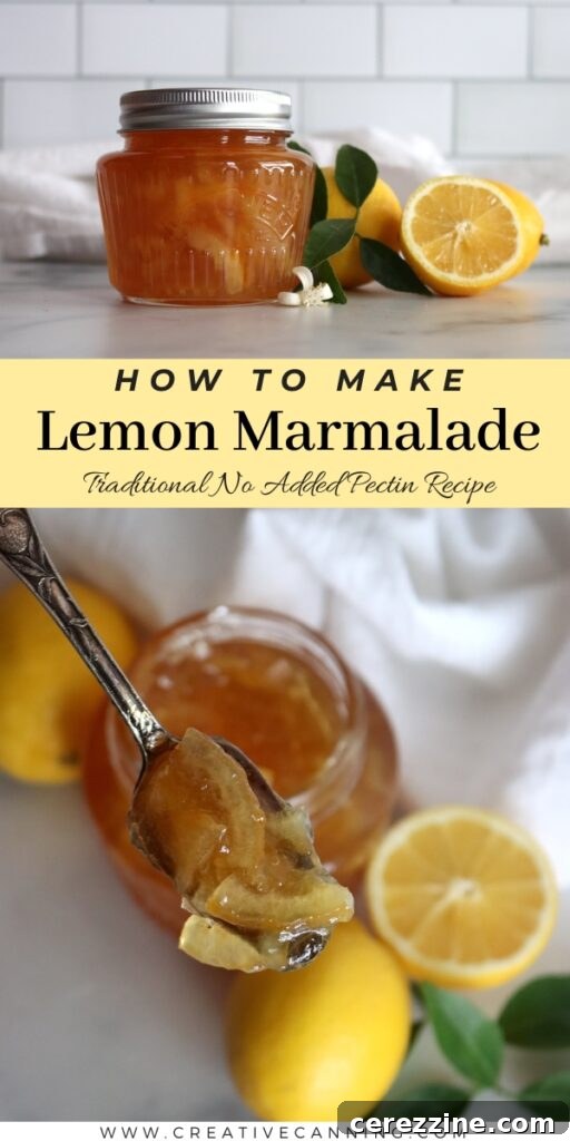 Assortment of citrus marmalades including lemon