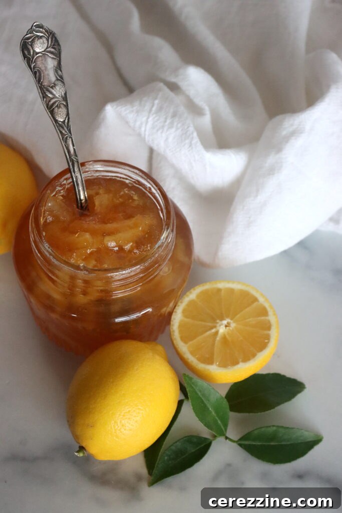 Freshly canned lemon marmalade jars cooling