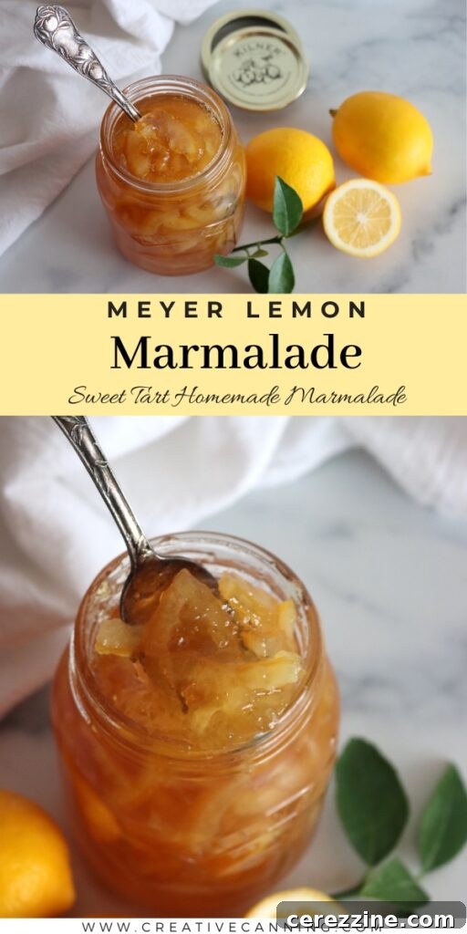 Collection of homemade marmalade jars, including Meyer lemon.