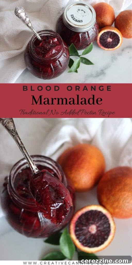 Sunrise Blood Orange Marmalade 9 Selection of Homemade Marmalades
