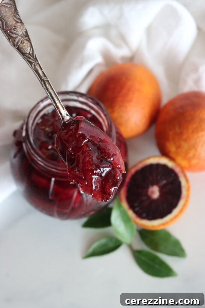 Sunrise Blood Orange Marmalade 3 Fresh Blood Oranges for Marmalade