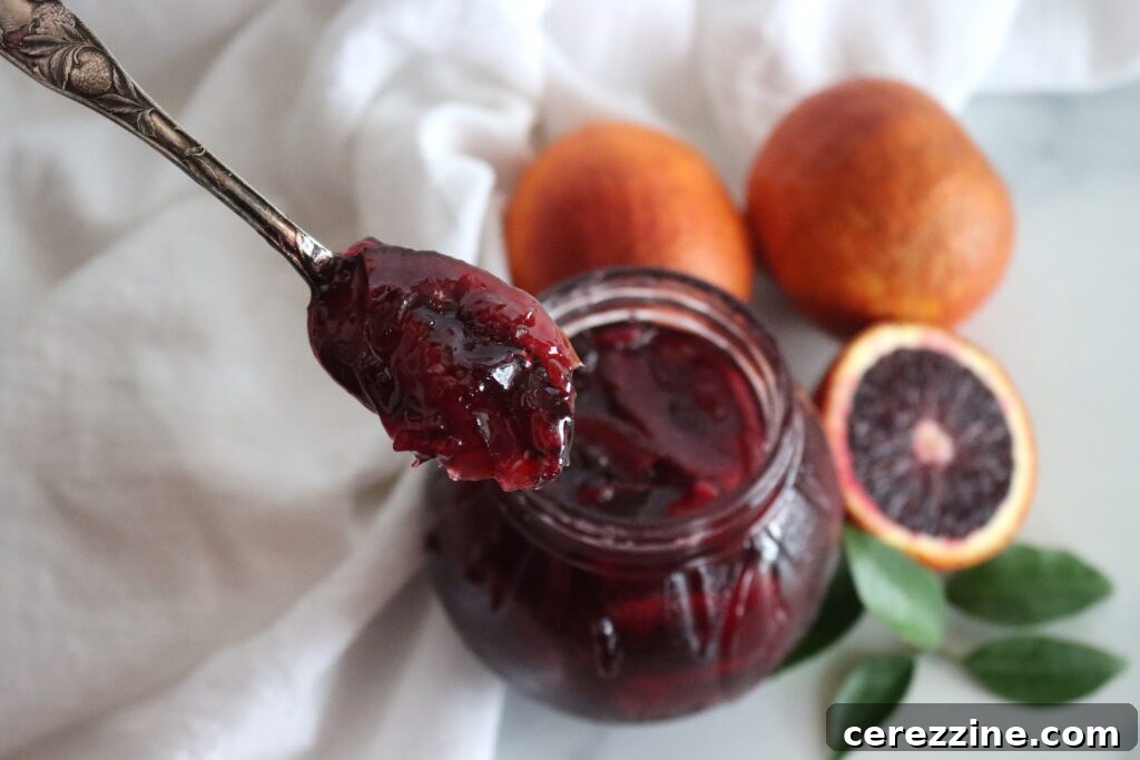 Sunrise Blood Orange Marmalade 6 Testing Marmalade for Set