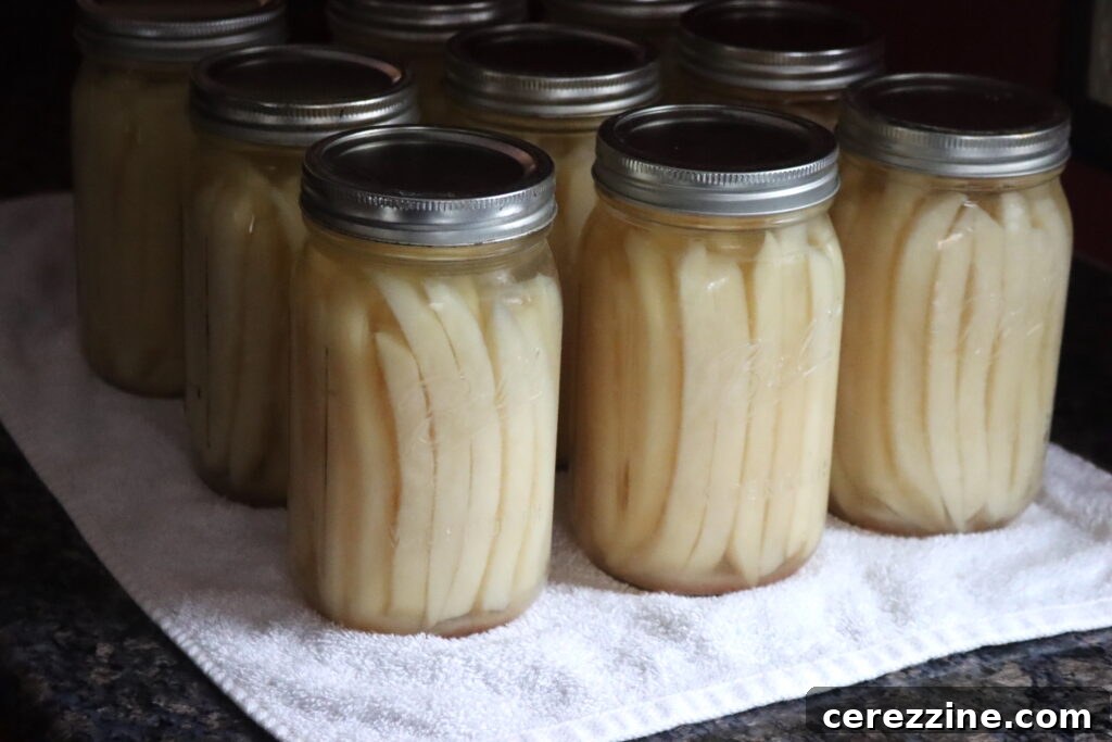 Jars of French fries cooling after pressure canning