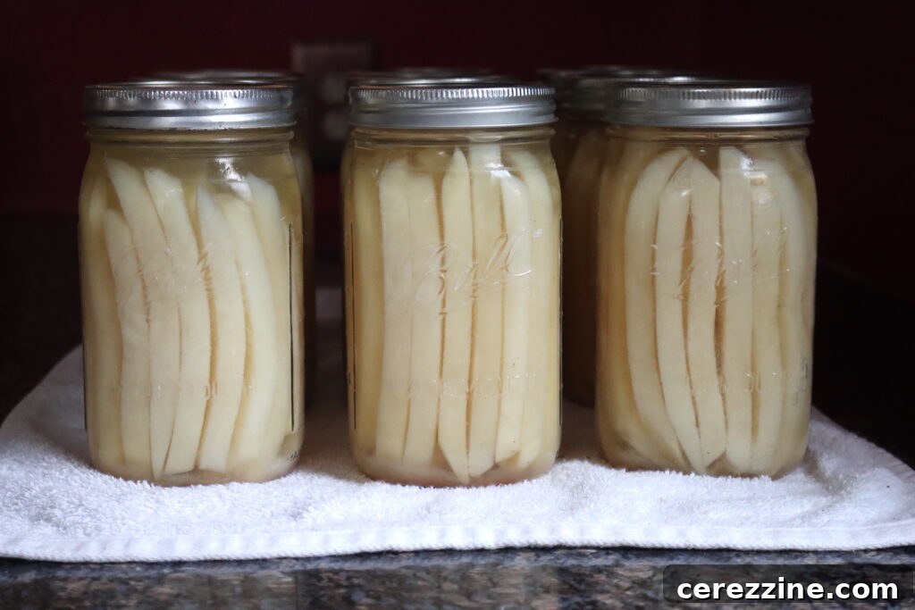 Jars of canned French fries on a shelf