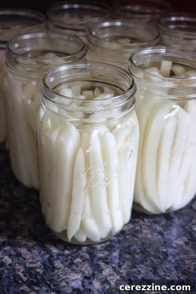 Ingredients for pressure canning french fries