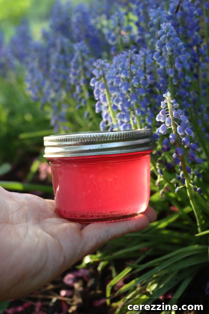 Spring Grape Hyacinth Jelly 11 Canned grape hyacinth jelly jars cooling on a towel after water bath processing.