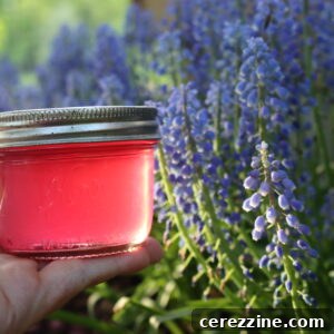 Spring Grape Hyacinth Jelly 12 Grape Hyacinth Jelly
