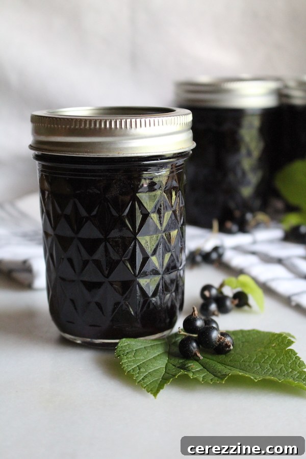 Homemade blackcurrant jelly