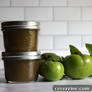 Tangy Green Tomato Ketchup 10 Green Tomato Ketchup