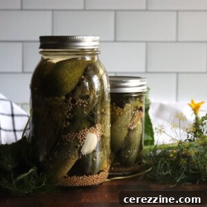 Kosher Dill Pickles