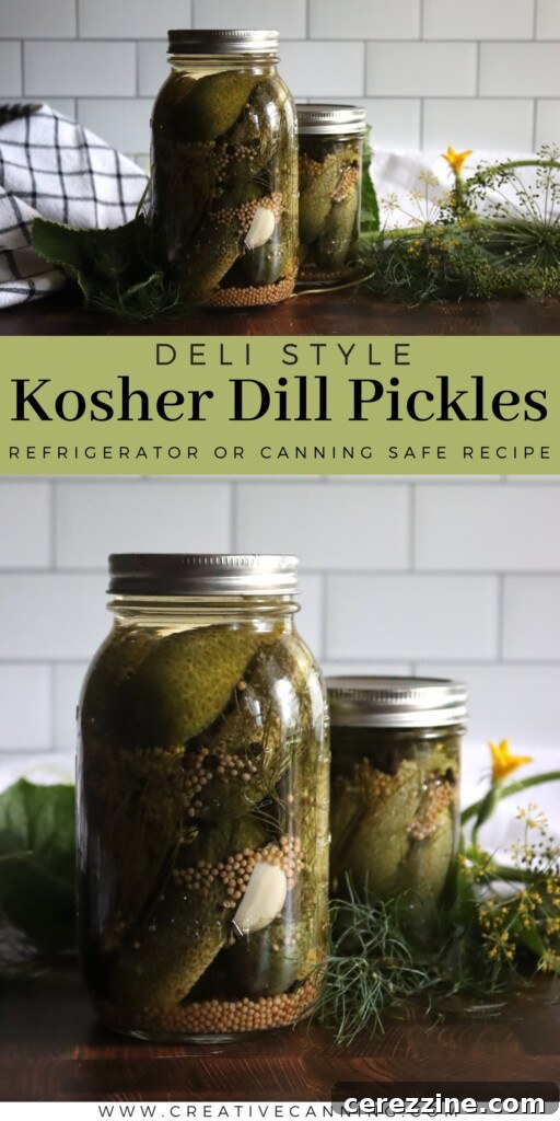 Various types of homemade pickled cucumbers in different jars