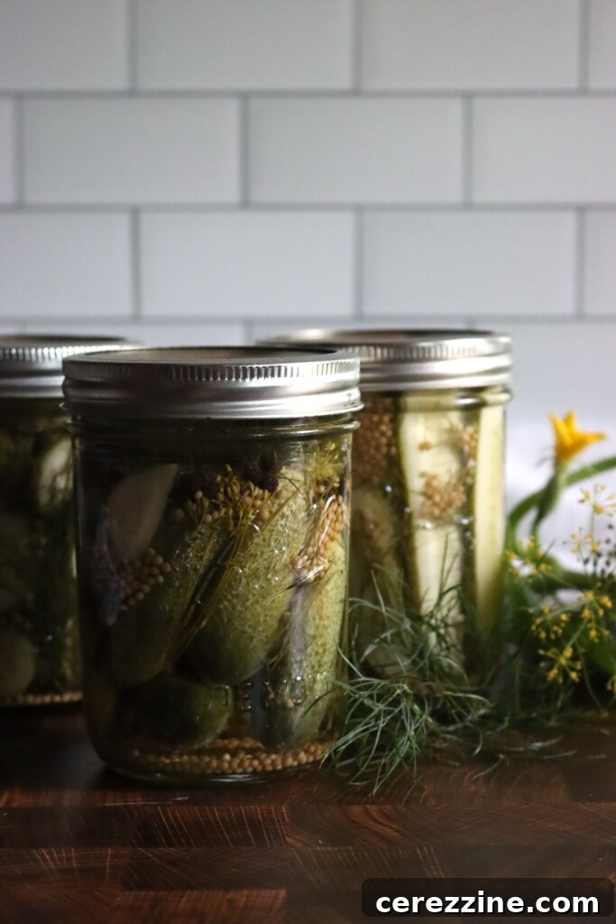 Dill Pickles