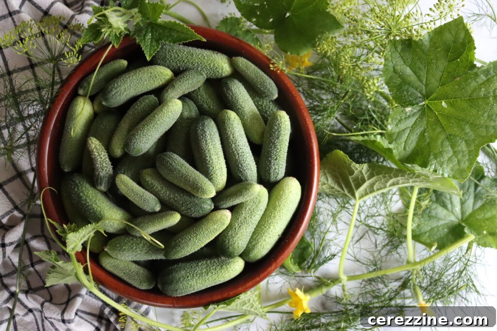 Cucumbers