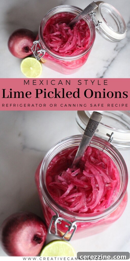 Zingy Lime Pickled Onions 4 Various Jars of Pickled Onions and Mexican Condiments