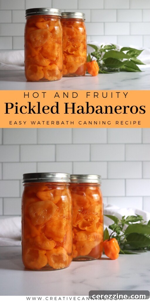 A beautifully arranged selection of various pickled items including corn, peaches, and berries, alongside pickled habaneros.