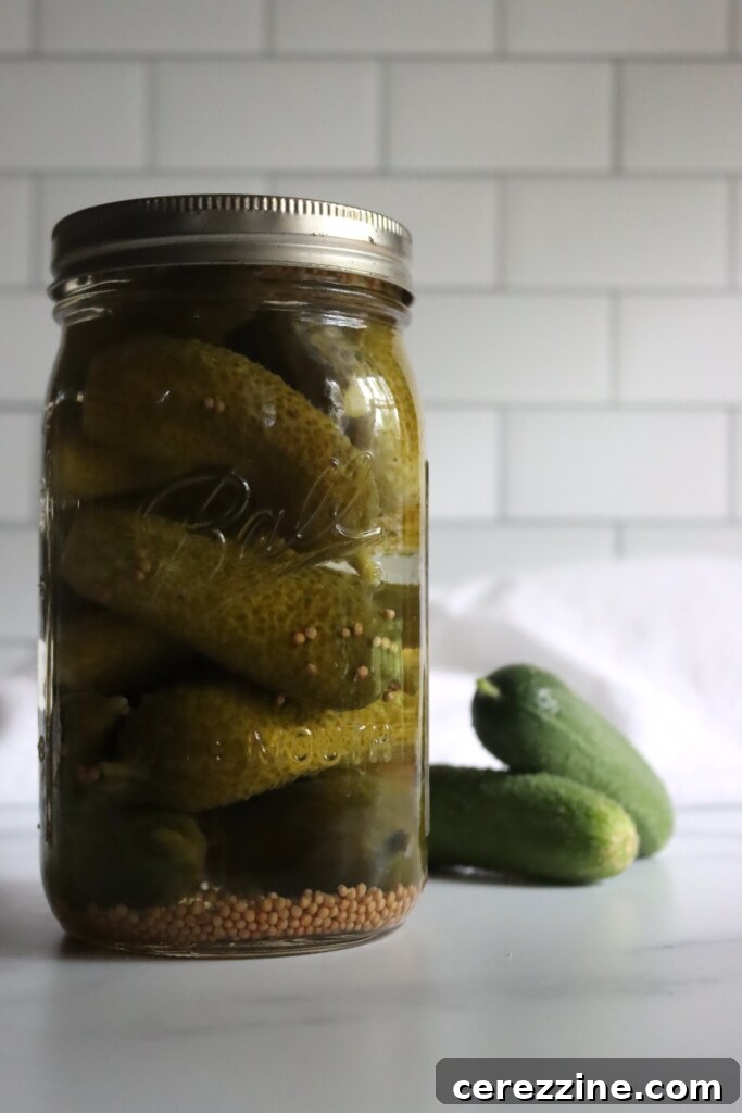Homemade Sour Pickles Ready for Canning