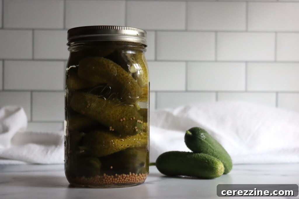Ingredients for Quick Sour Pickles