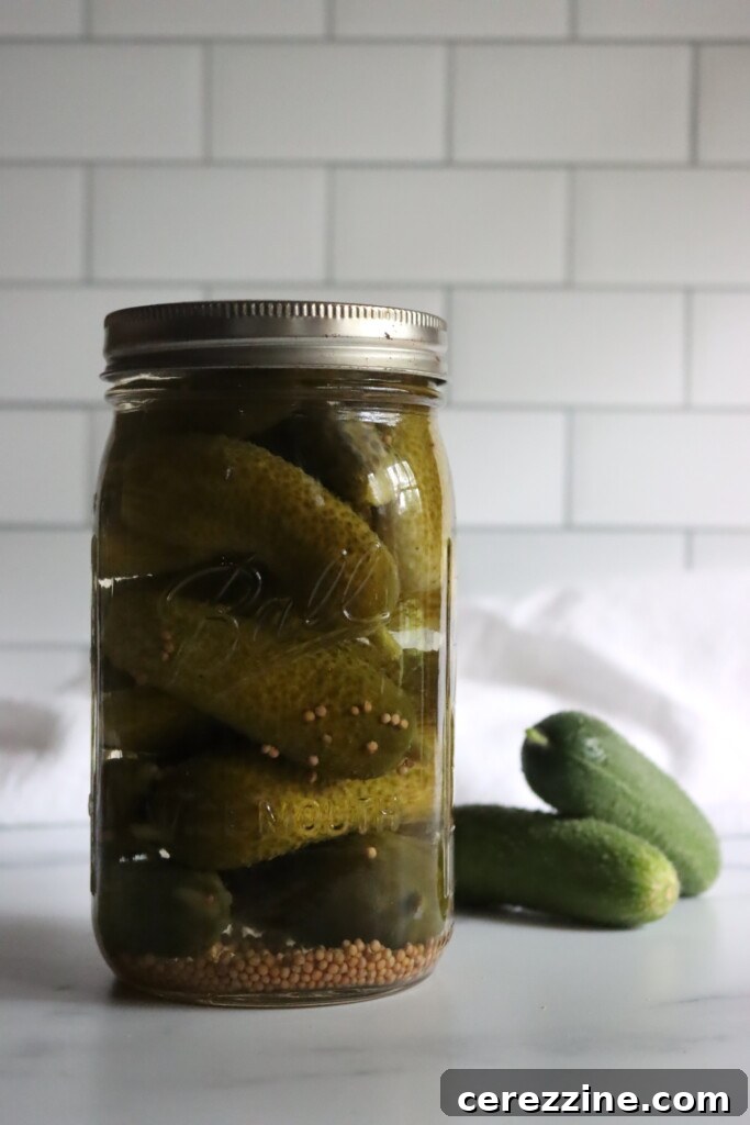 Jar of Quick Sour Pickles