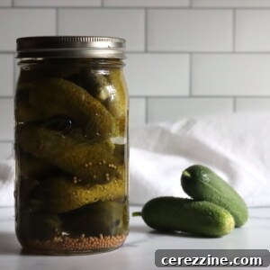 Sour Pickles