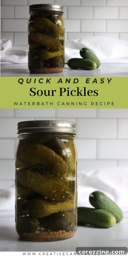 Sour Pickles Recipe