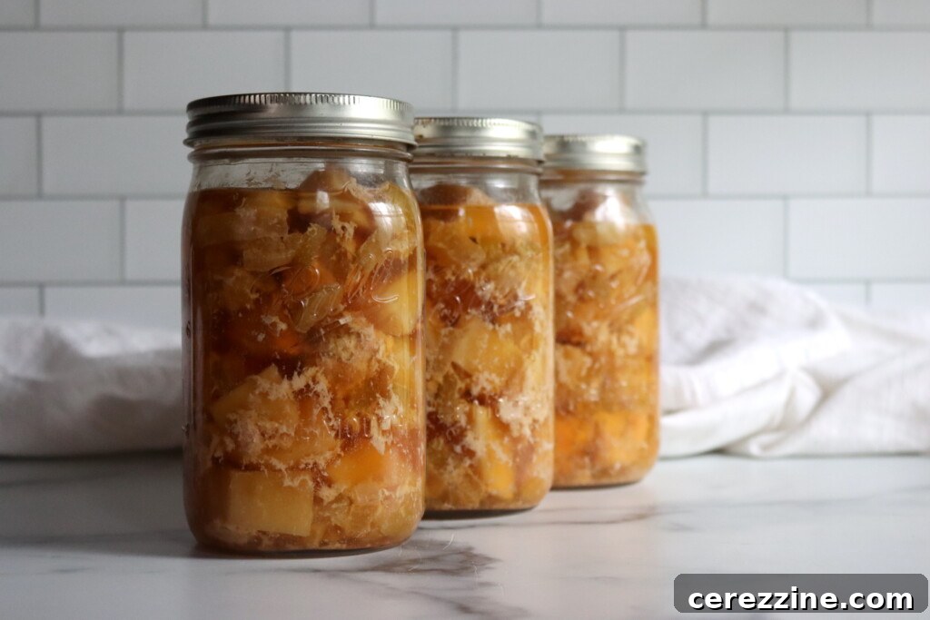 Chicken and Gravy Meal in a Jar