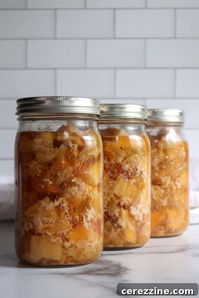 Chicken and Gravy Meal in a Jar Recipe