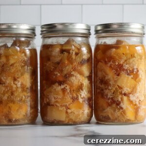 Chicken and Gravy Meal in a Jar