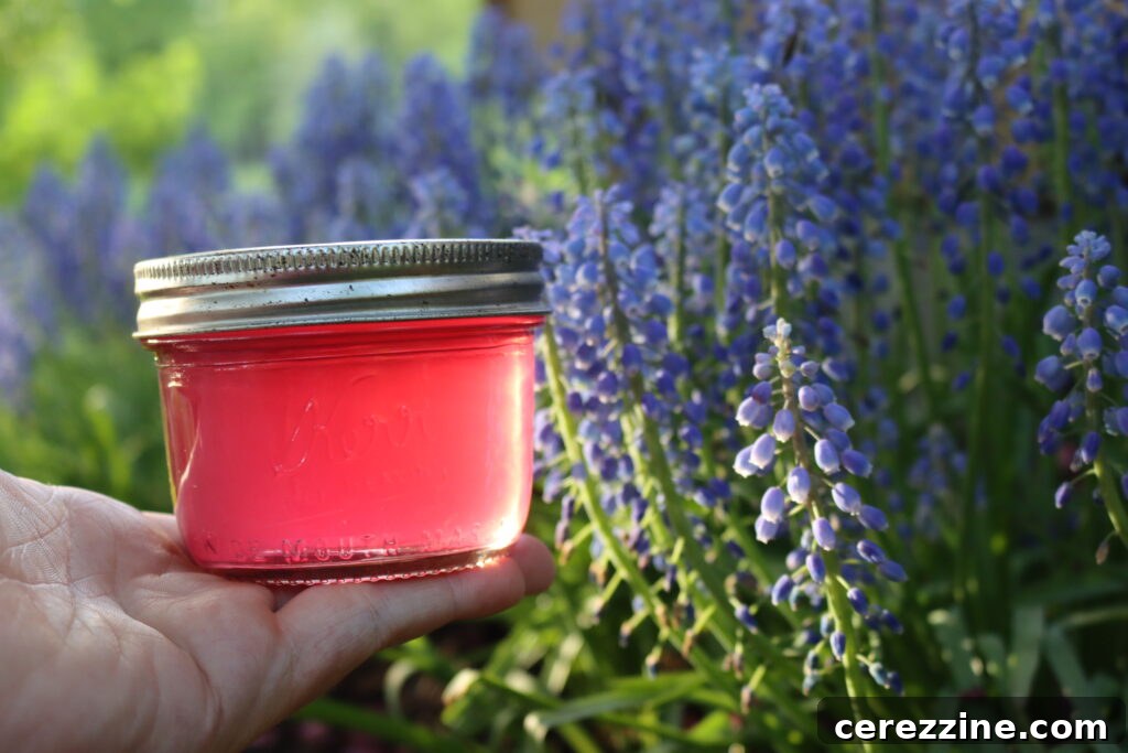 Grape Hyacinth Jelly