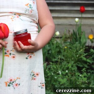 Tulip Jelly