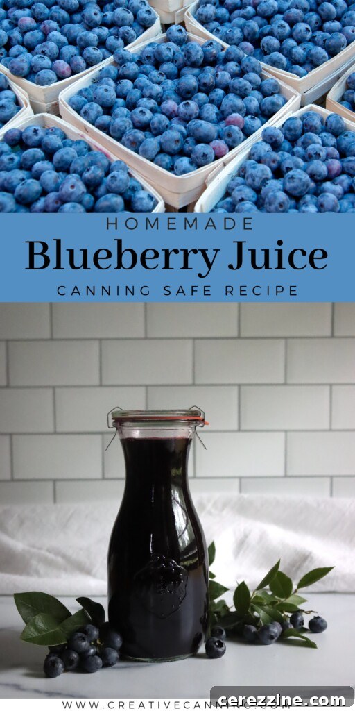 Preserving Homemade Blueberry Nectar 7 Homemade canned blueberry juice