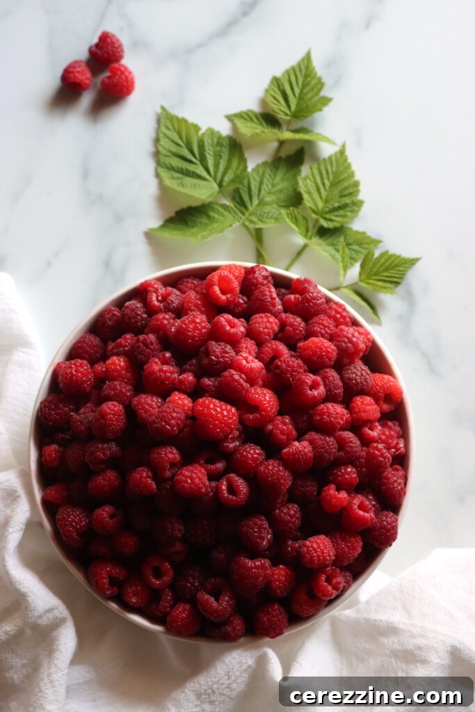 Vibrant Raspberry Elixir 3 Fresh Raspberries piled high, ready for syrup making