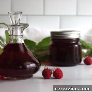 Vibrant Raspberry Elixir 5 Raspberry Syrup