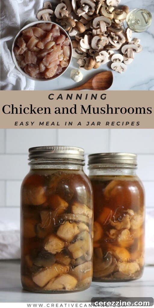 Assortment of Pressure Canned Chicken Meals