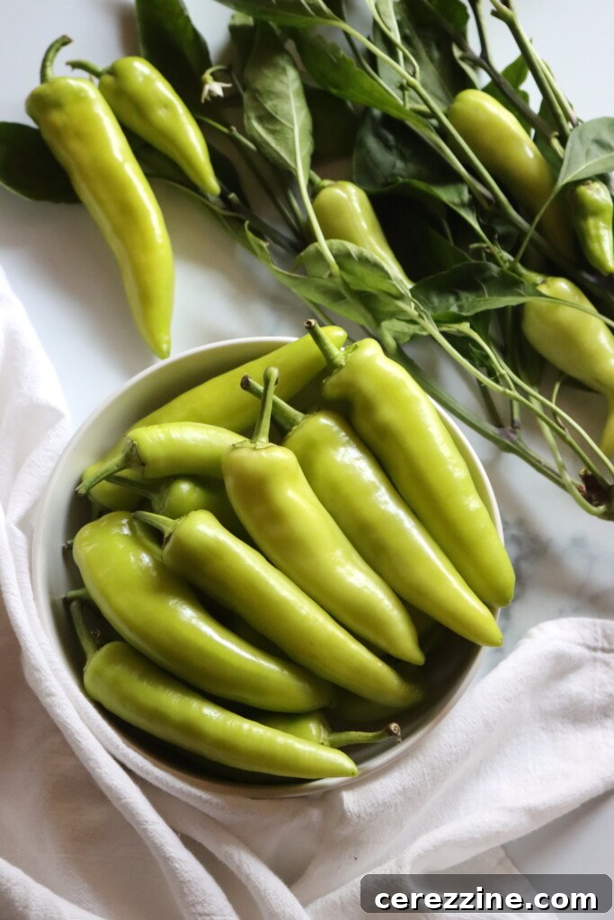 Zesty Pickled Banana Peppers 3 Banana Pepper Harvest