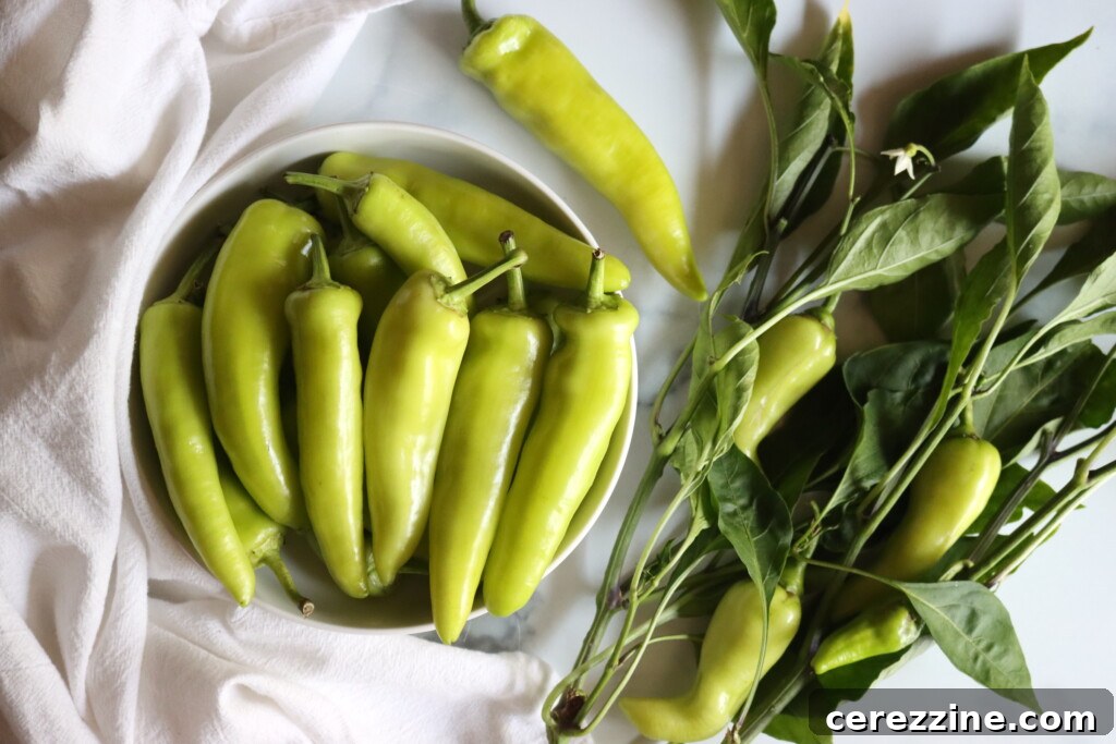 Zesty Pickled Banana Peppers 7 Banana Pepper Harvest