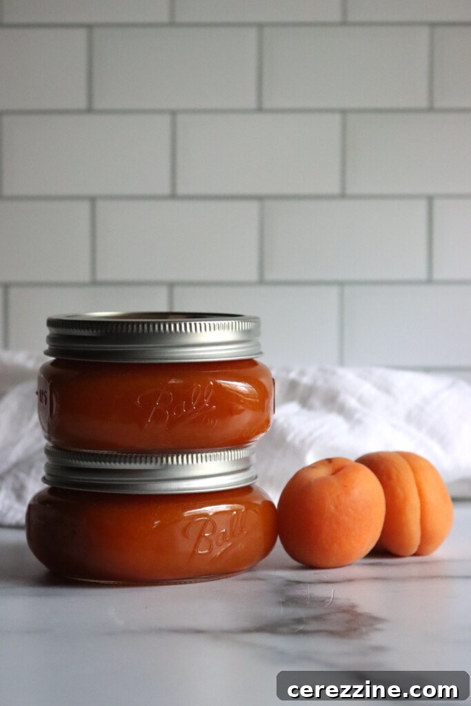 Apricot Butter