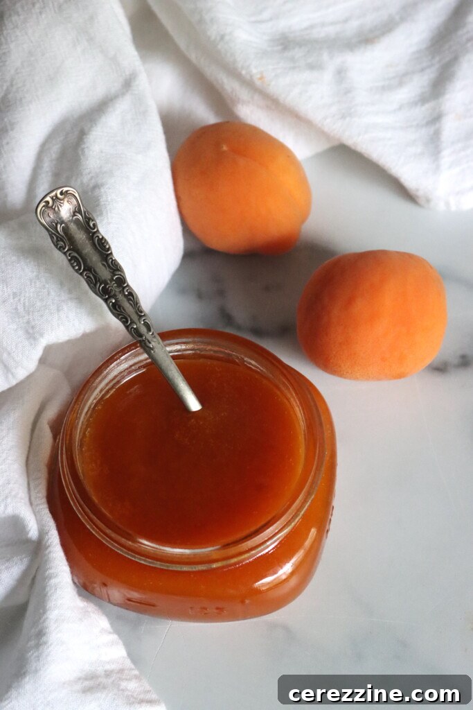 Apricot Butter