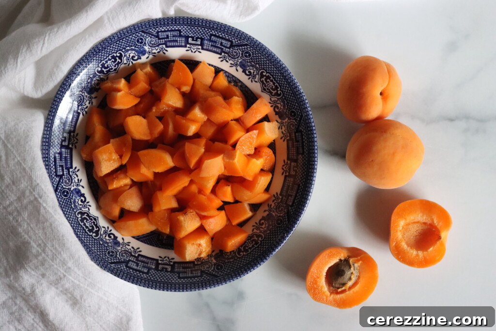 Apricots