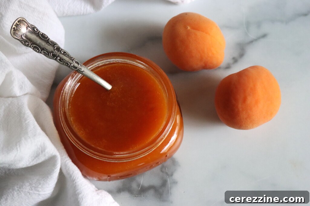 Apricot Butter