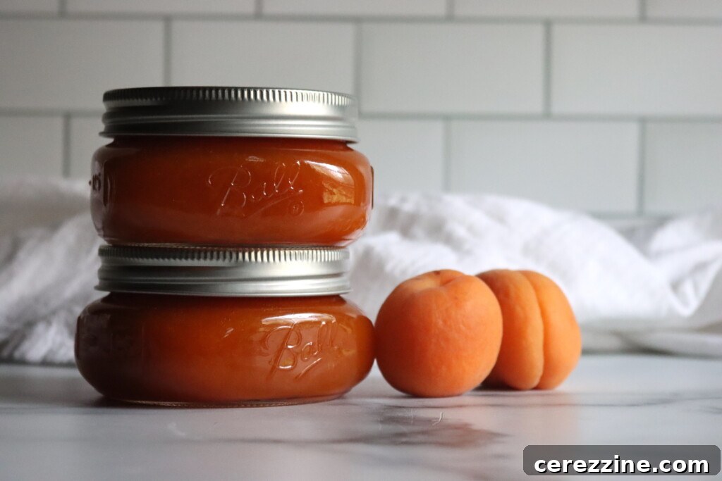 Apricot Butter Recipe