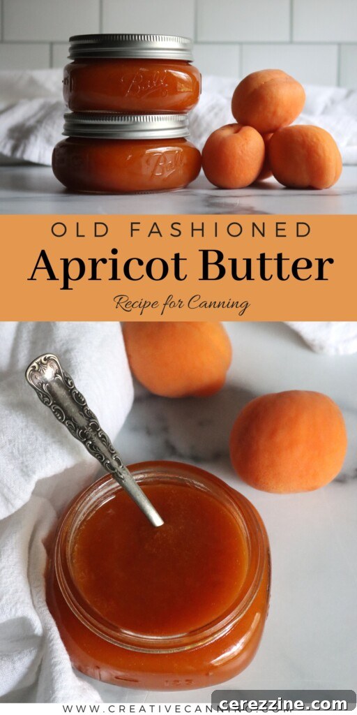 Apricot Butter Canning Recipe