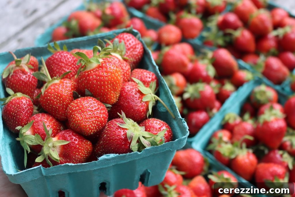 Fresh Strawberries for Jelly