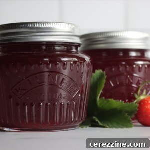 Strawberry Jelly in a spoon