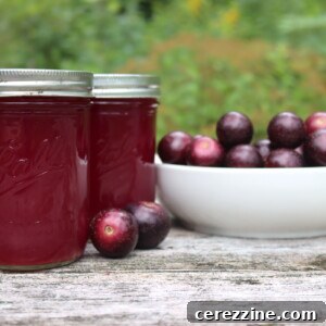 Muscadine Juice