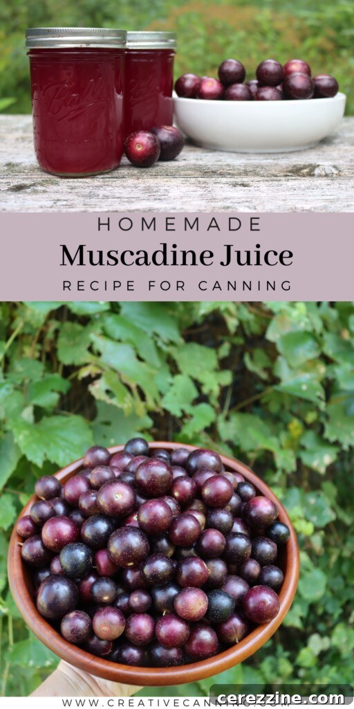 Muscadine Juice Recipe in Mason jars