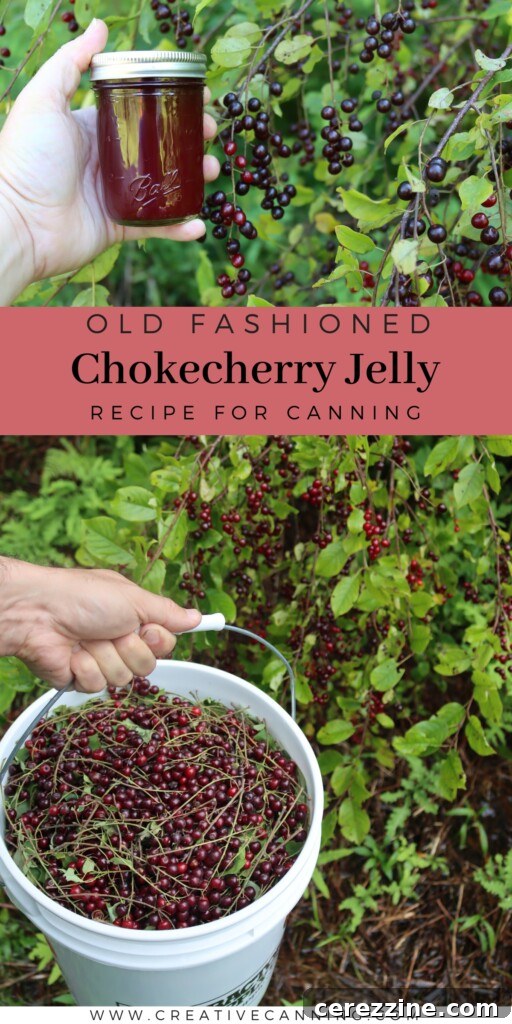 Assortment of Chokecherry Jelly jars