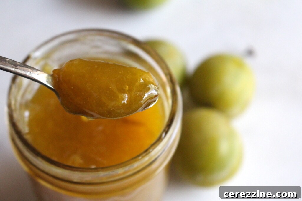 Greengage Jam