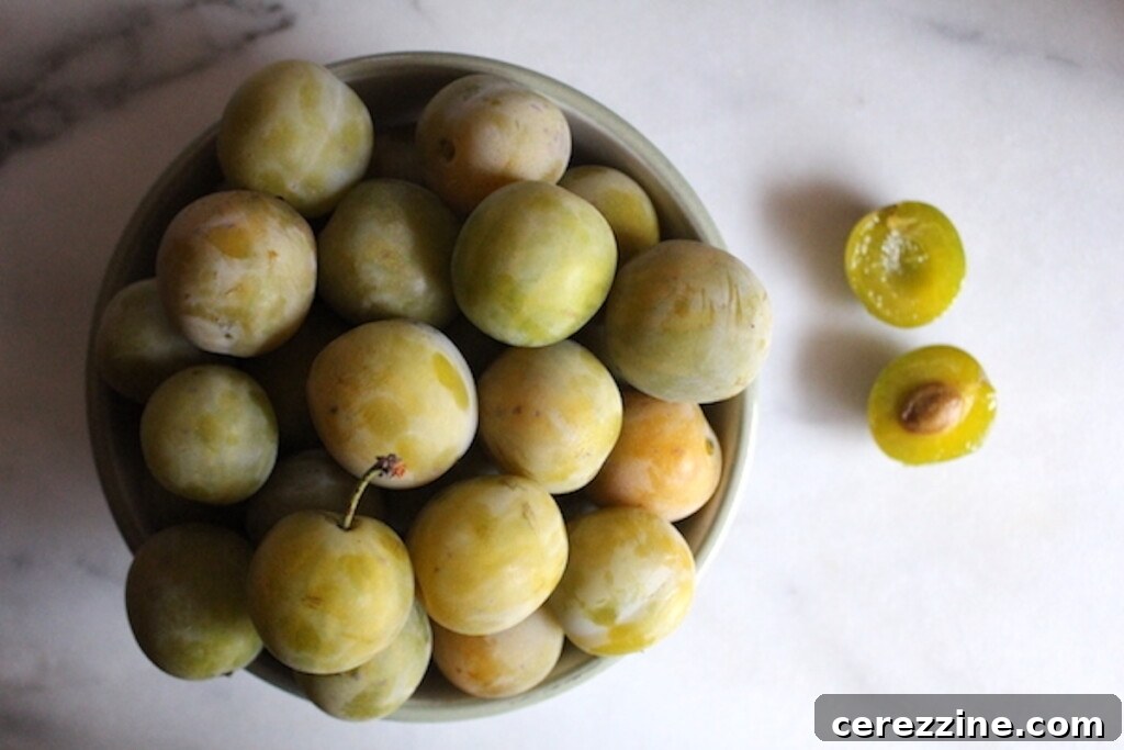 Greengage Plums
